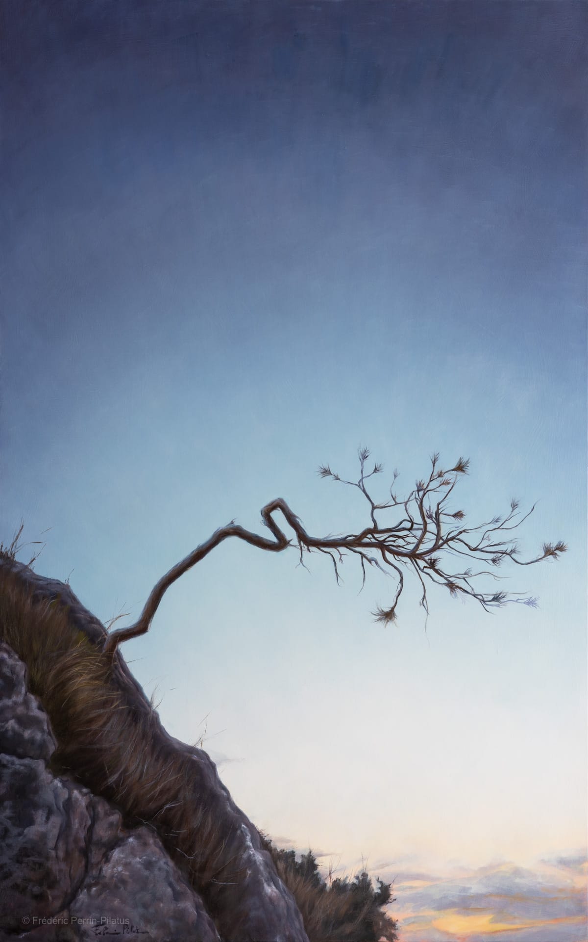 L’arbre fragile