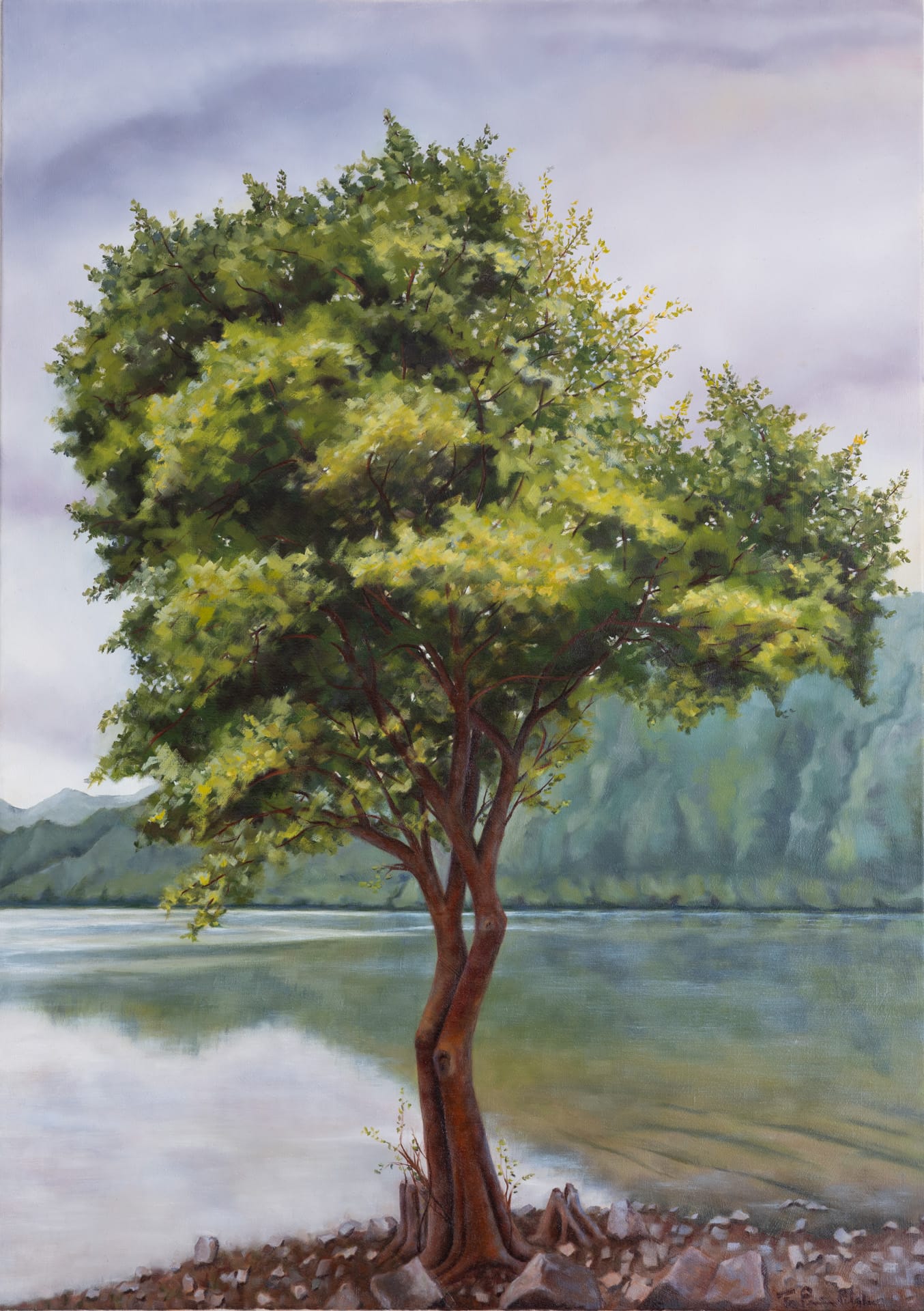 L’arbre émeraude