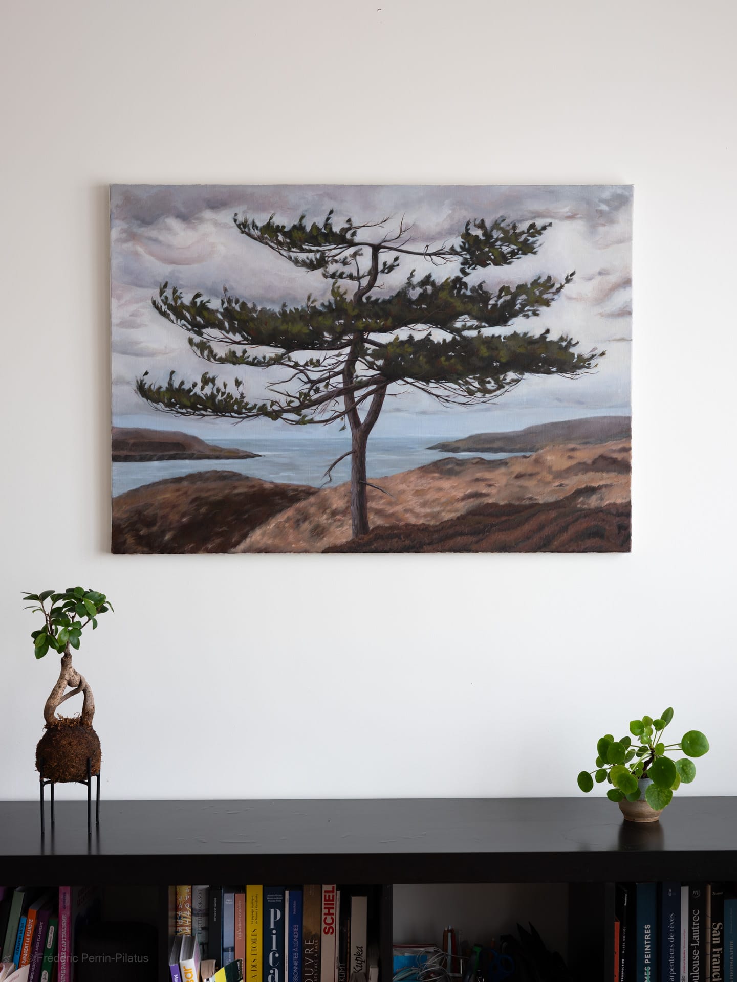 Portrait d’un arbre
